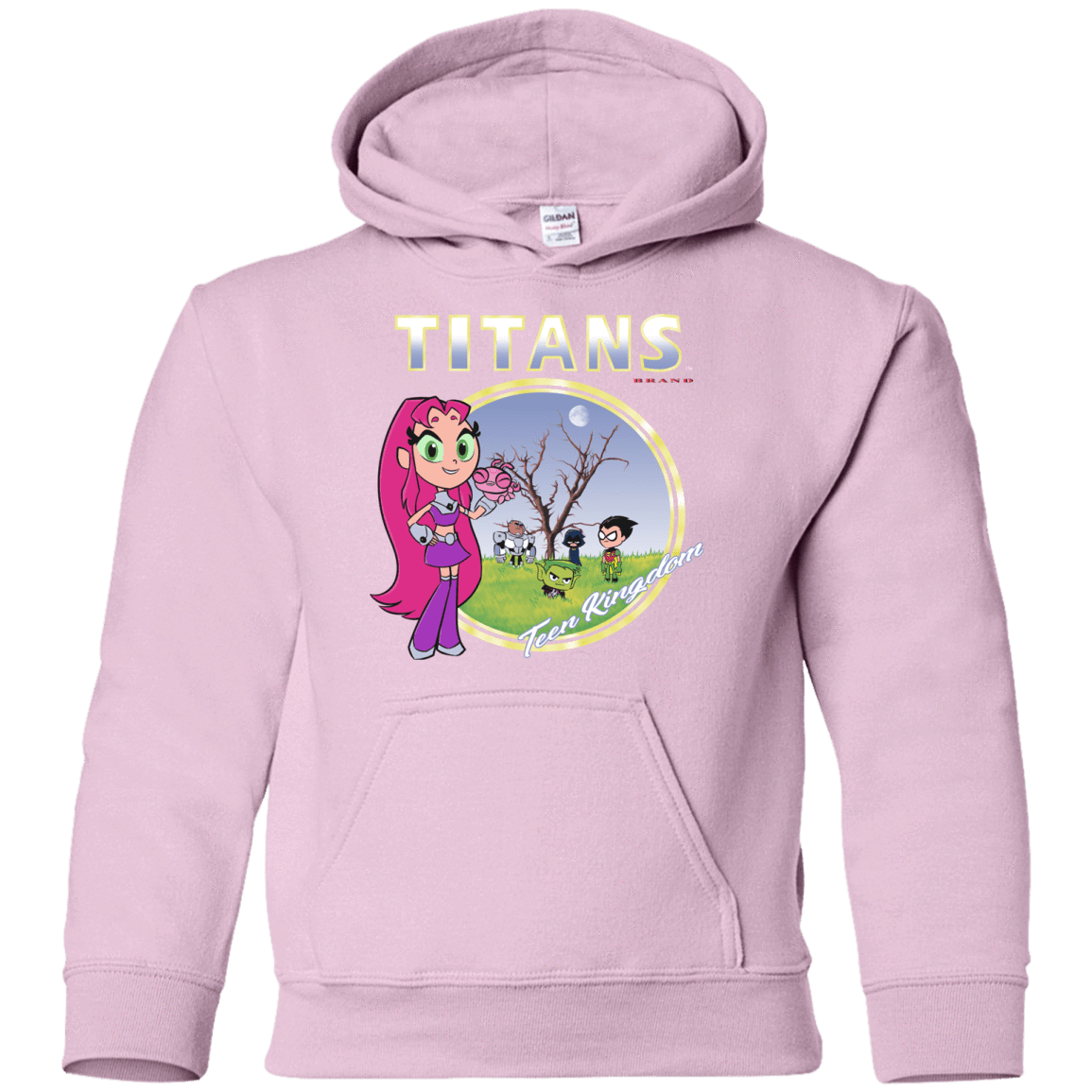 Sweatshirts Light Pink / YS Titans Youth Hoodie