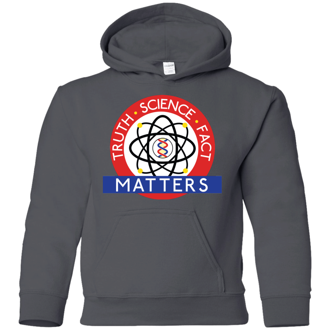 Sweatshirts Charcoal / YS Truth Science Fact Youth Hoodie