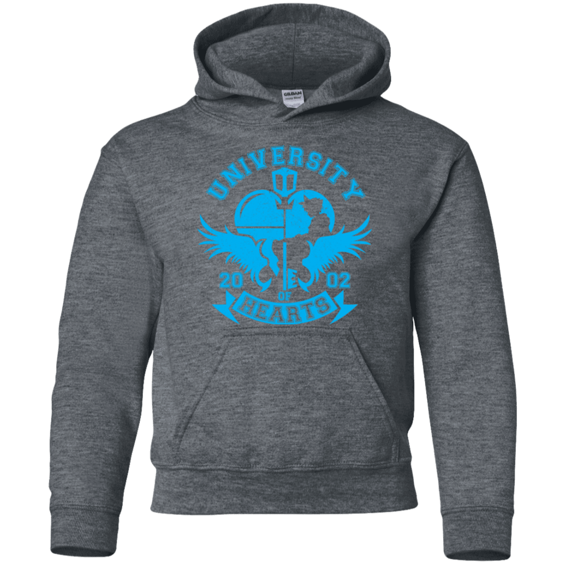 Sweatshirts Dark Heather / YS University of Hearts Youth Hoodie