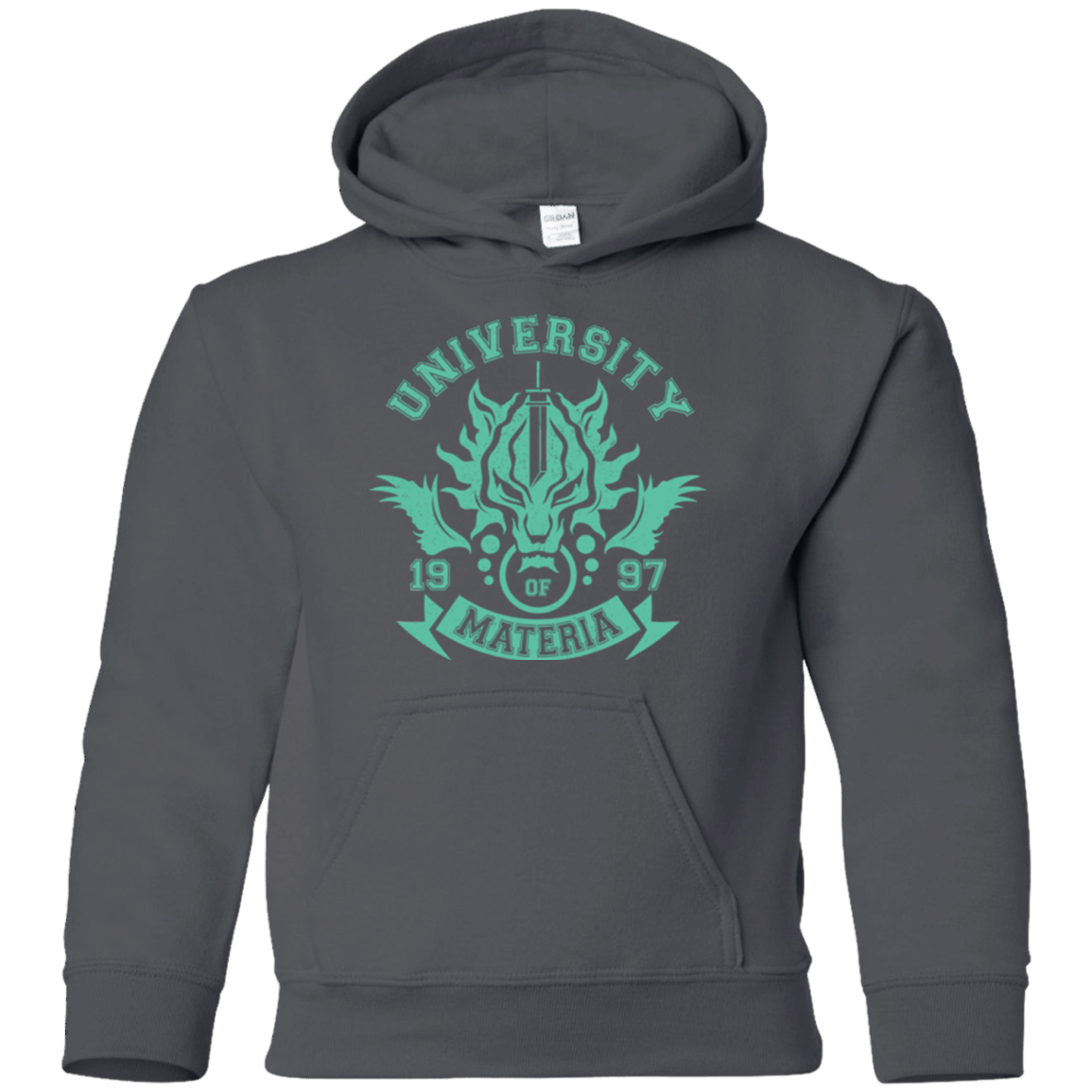 Sweatshirts Charcoal / YS University of Materia Youth Hoodie