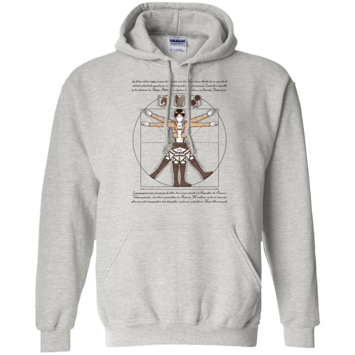 Sweatshirts Ash / Small VITRUVIAN TRAINEE Pullover Hoodie