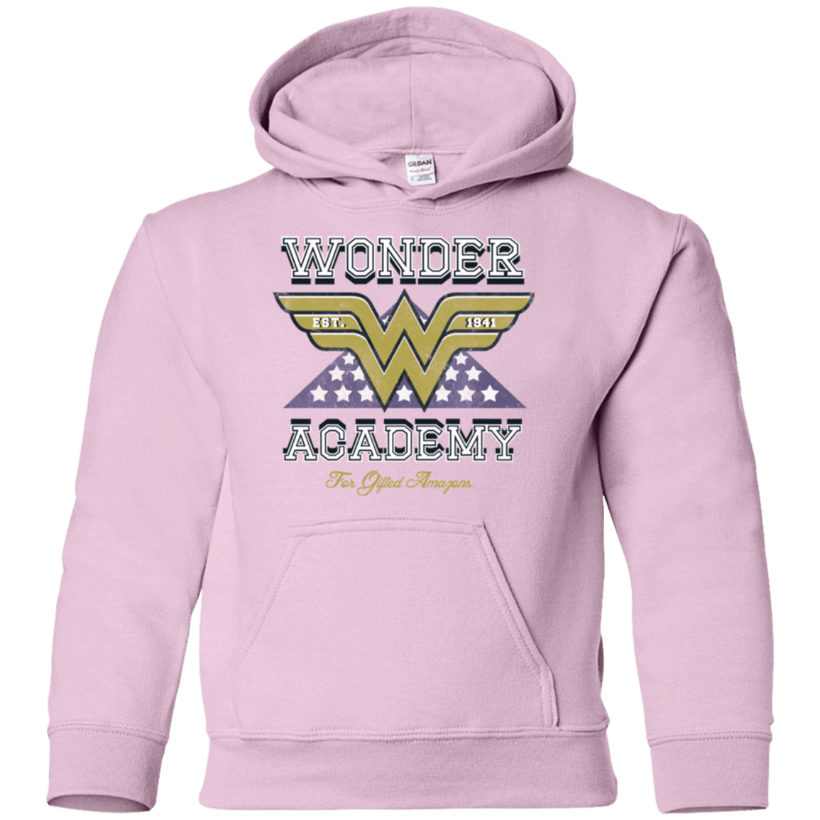 Sweatshirts Light Pink / YS Wonder Academy Youth Hoodie