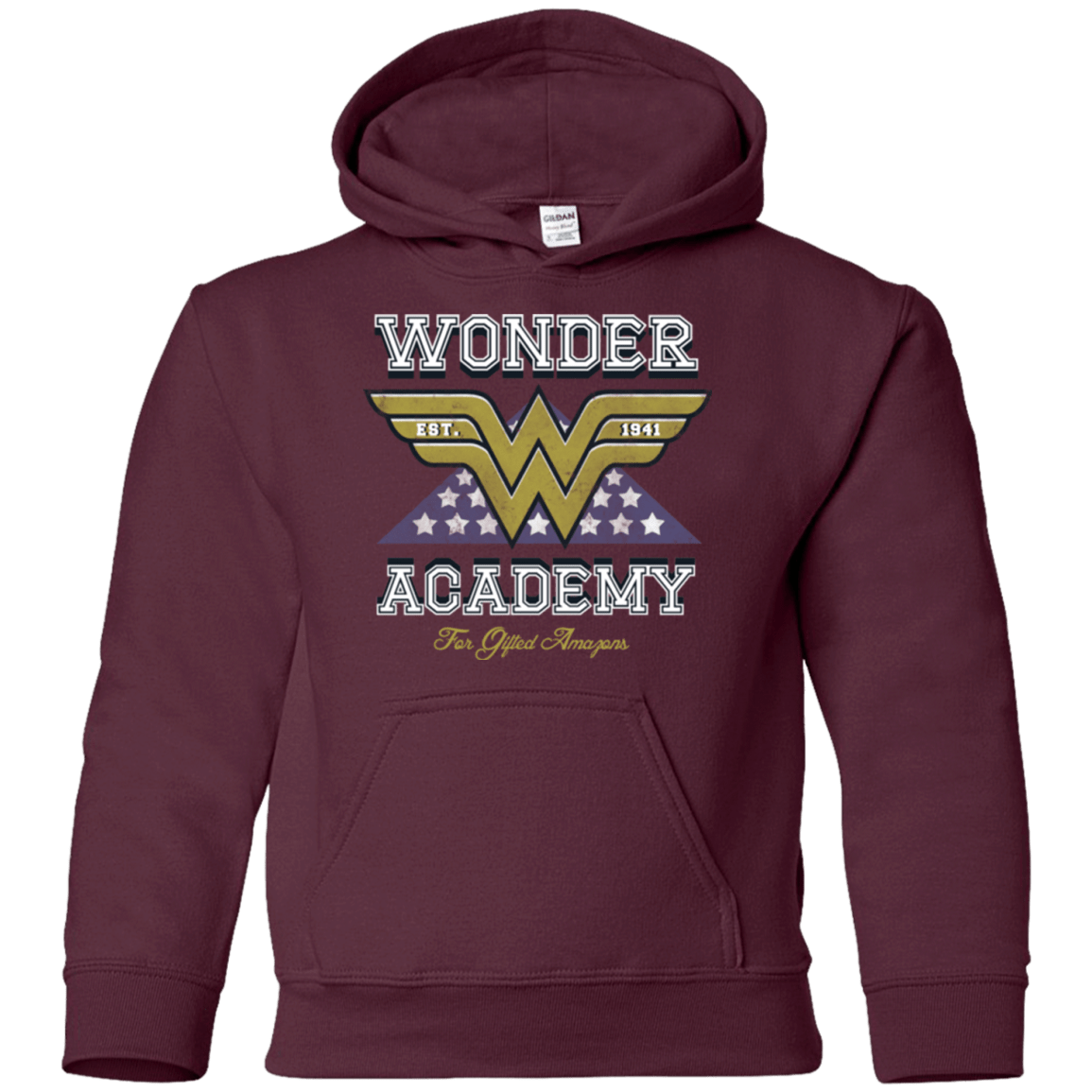Sweatshirts Maroon / YS Wonder Academy Youth Hoodie
