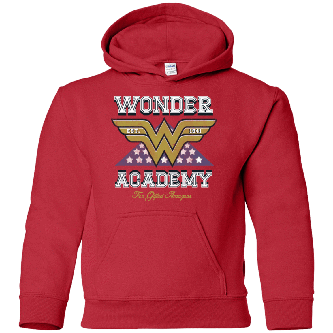 Sweatshirts Red / YS Wonder Academy Youth Hoodie
