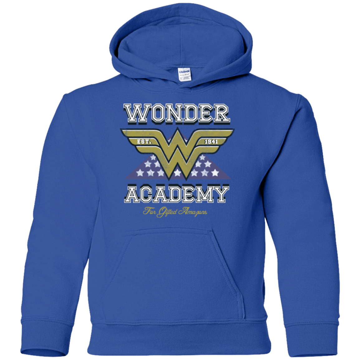 Sweatshirts Royal / YS Wonder Academy Youth Hoodie