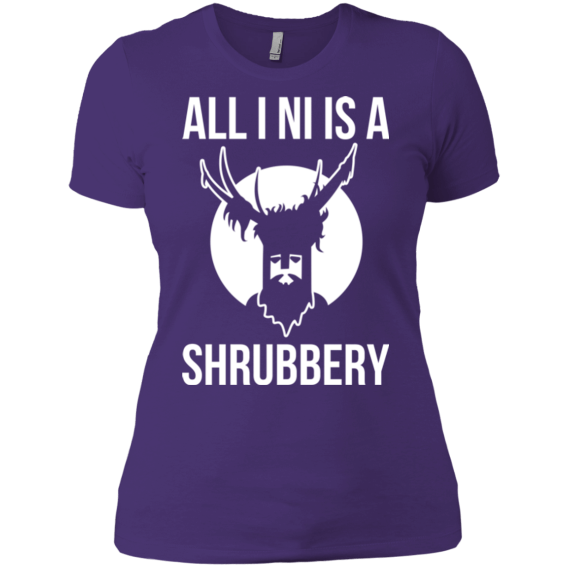 T-Shirts Purple / X-Small All I Ni Women's Premium T-Shirt