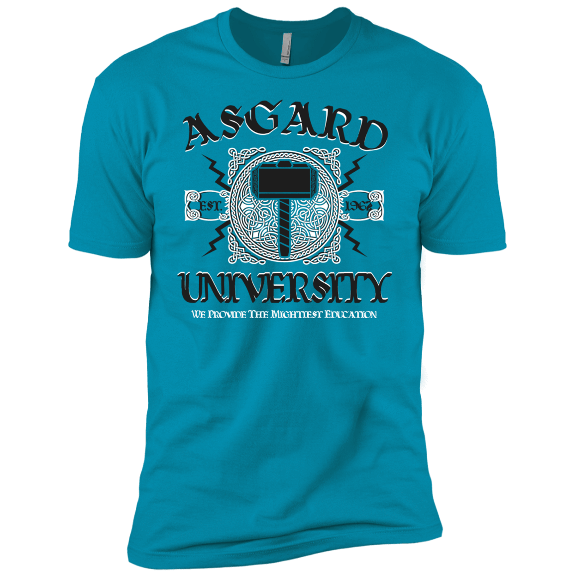 T-Shirts Turquoise / YXS Asgard University Boys Premium T-Shirt