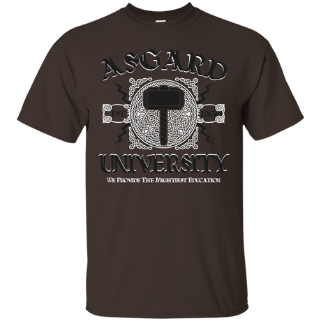 T-Shirts Dark Chocolate / Small Asgard University T-Shirt
