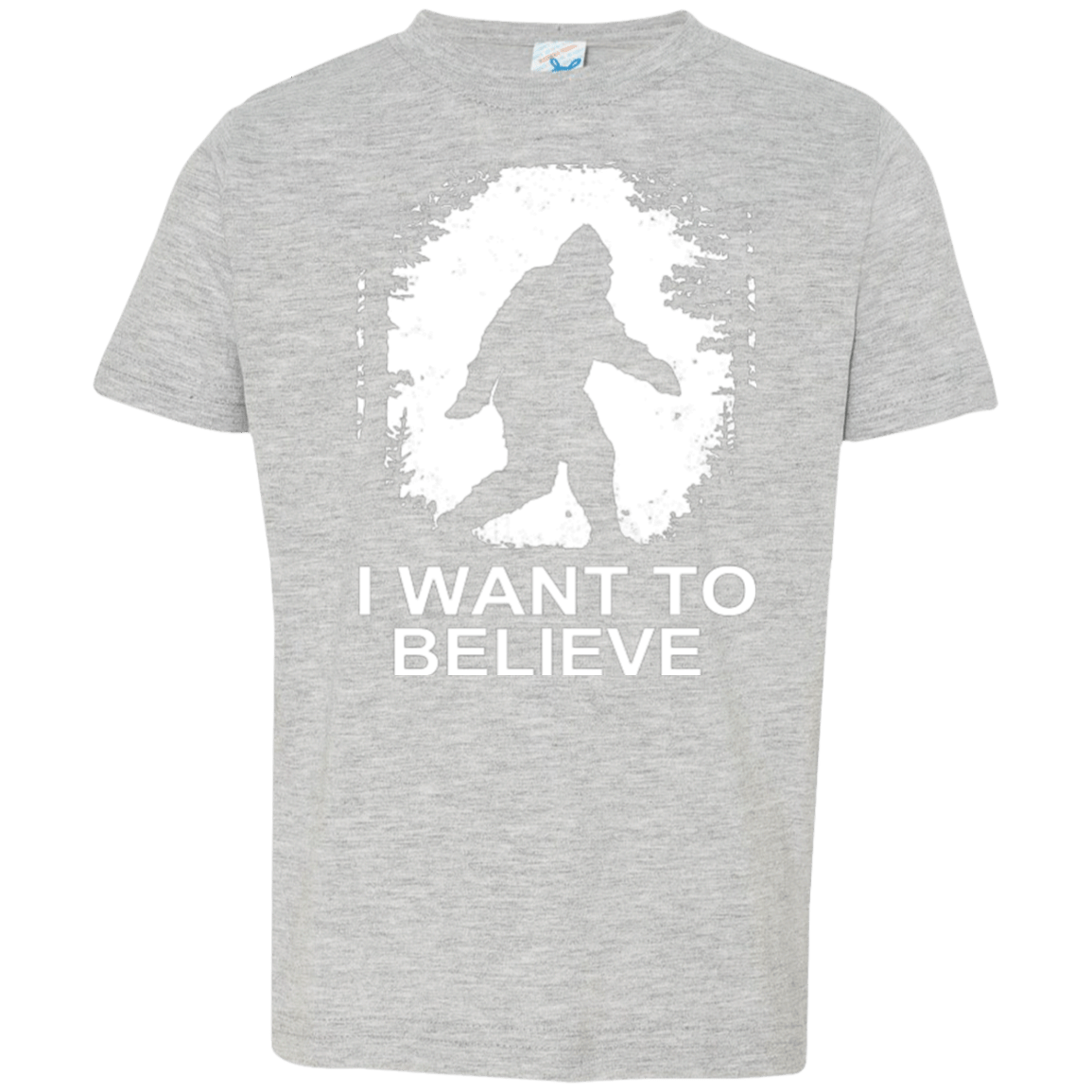 T-Shirts Heather / 2T Believe Toddler Premium T-Shirt