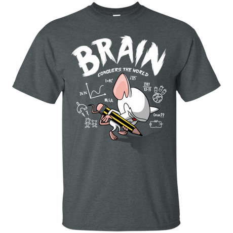 T-Shirts Dark Heather / Small Brain vs The World T-Shirt