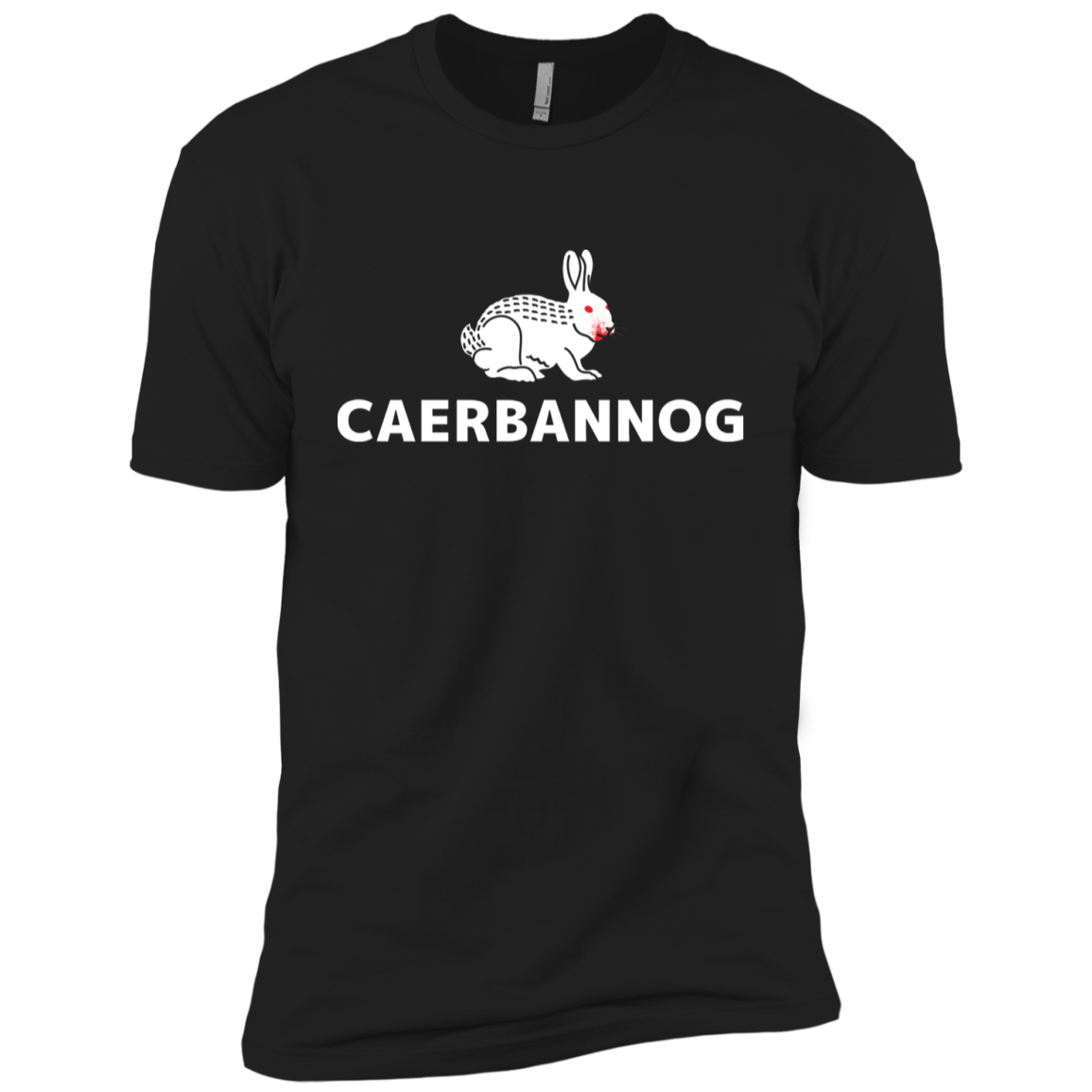 T-Shirts Black / YXS Caerbannog Boys Premium T-Shirt