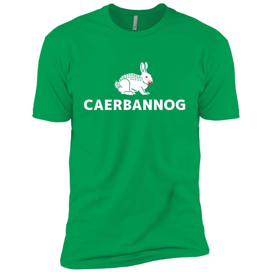 T-Shirts Kelly Green / YXS Caerbannog Boys Premium T-Shirt