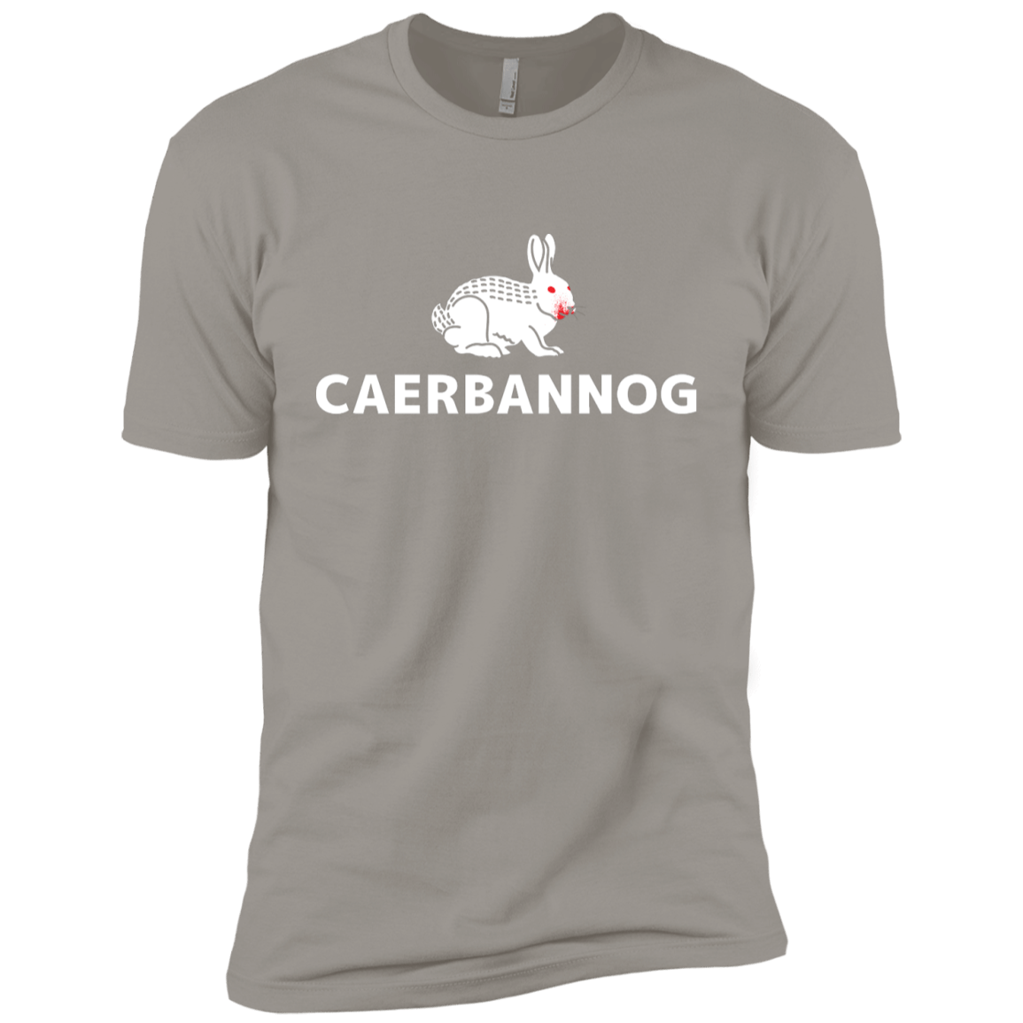 T-Shirts Light Grey / YXS Caerbannog Boys Premium T-Shirt