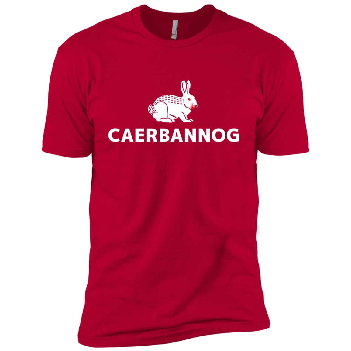 T-Shirts Red / YXS Caerbannog Boys Premium T-Shirt