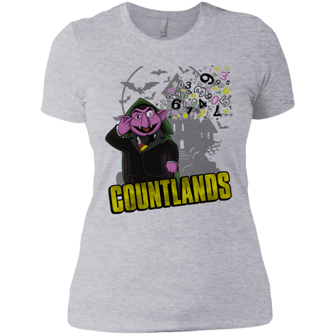 T-Shirts Heather Grey / X-Small COUNTLANDS Women's Premium T-Shirt