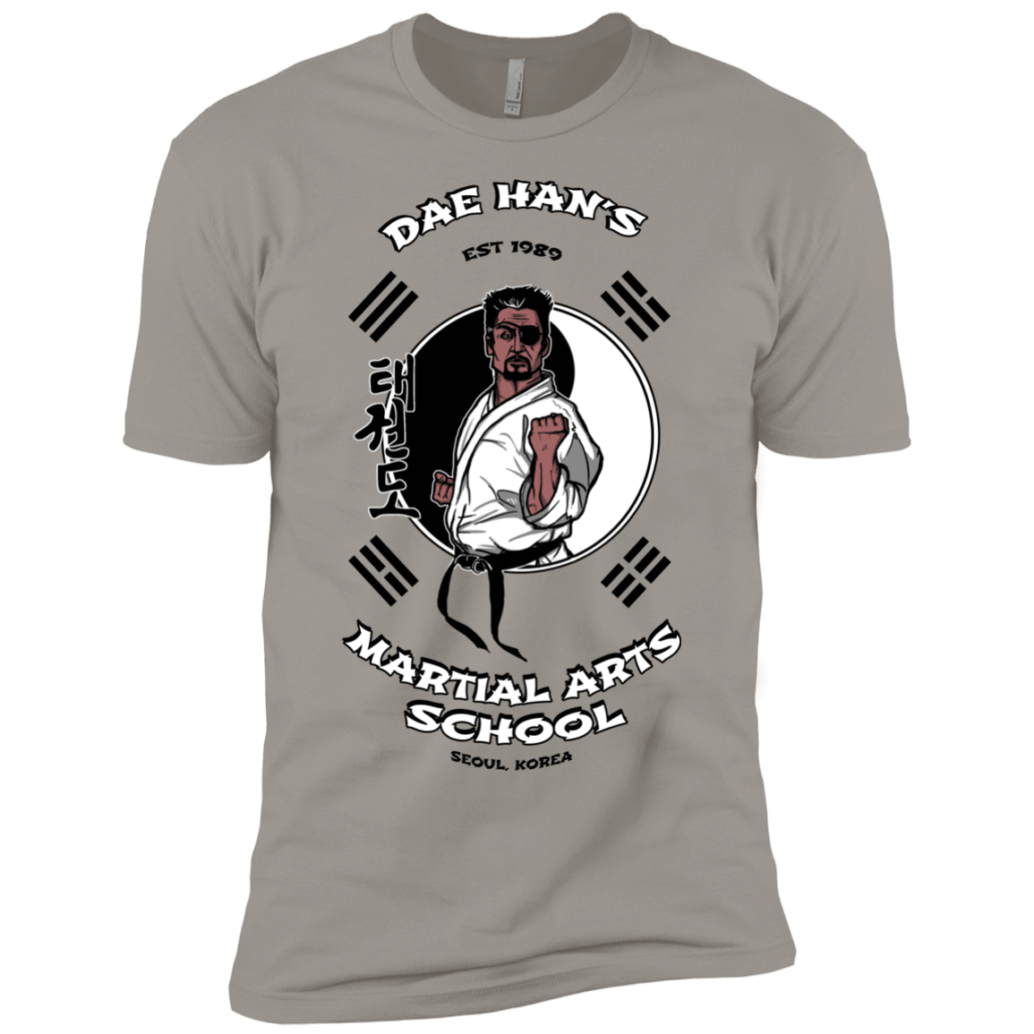 T-Shirts Light Grey / YXS Dae Hans Martial Arts Boys Premium T-Shirt