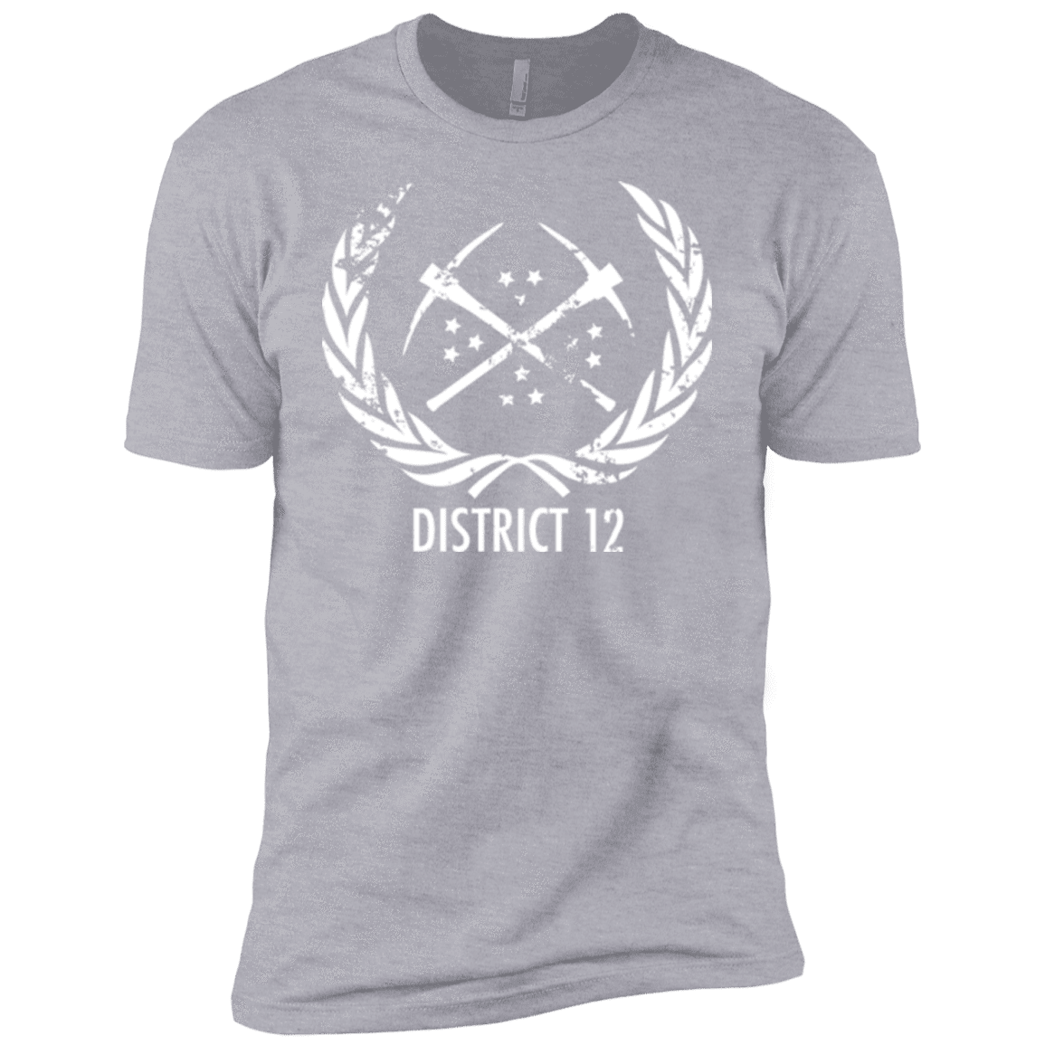 T-Shirts Heather Grey / YXS District 12 Boys Premium T-Shirt