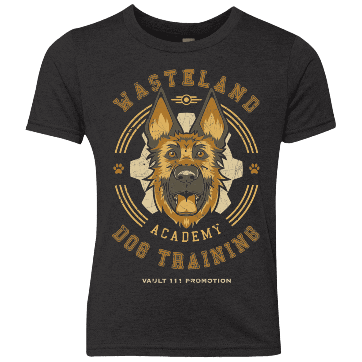 T-Shirts Vintage Black / YXS Dogmeat Training Academy Youth Triblend T-Shirt