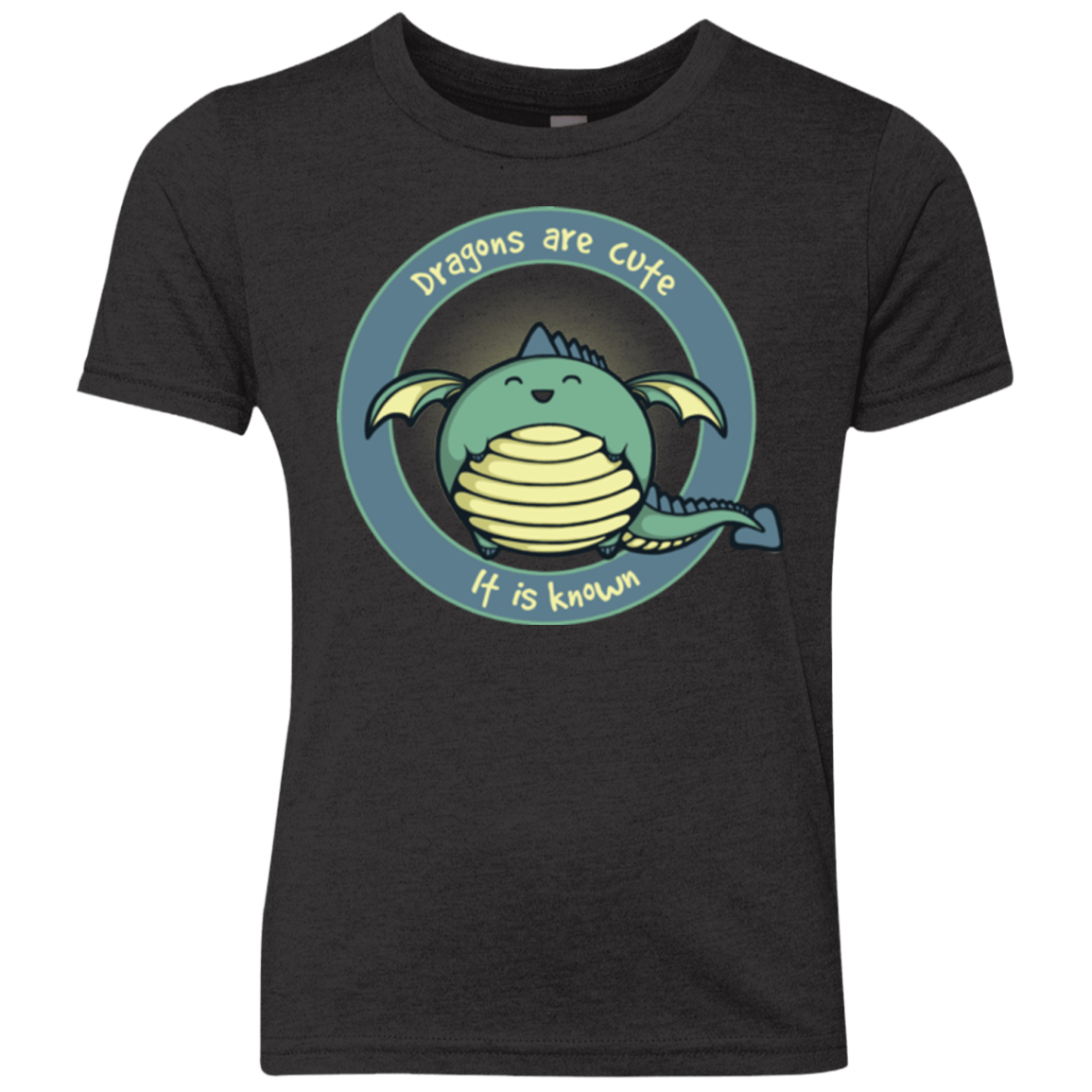 T-Shirts Vintage Black / YXS Dragons are Cute Youth Triblend T-Shirt