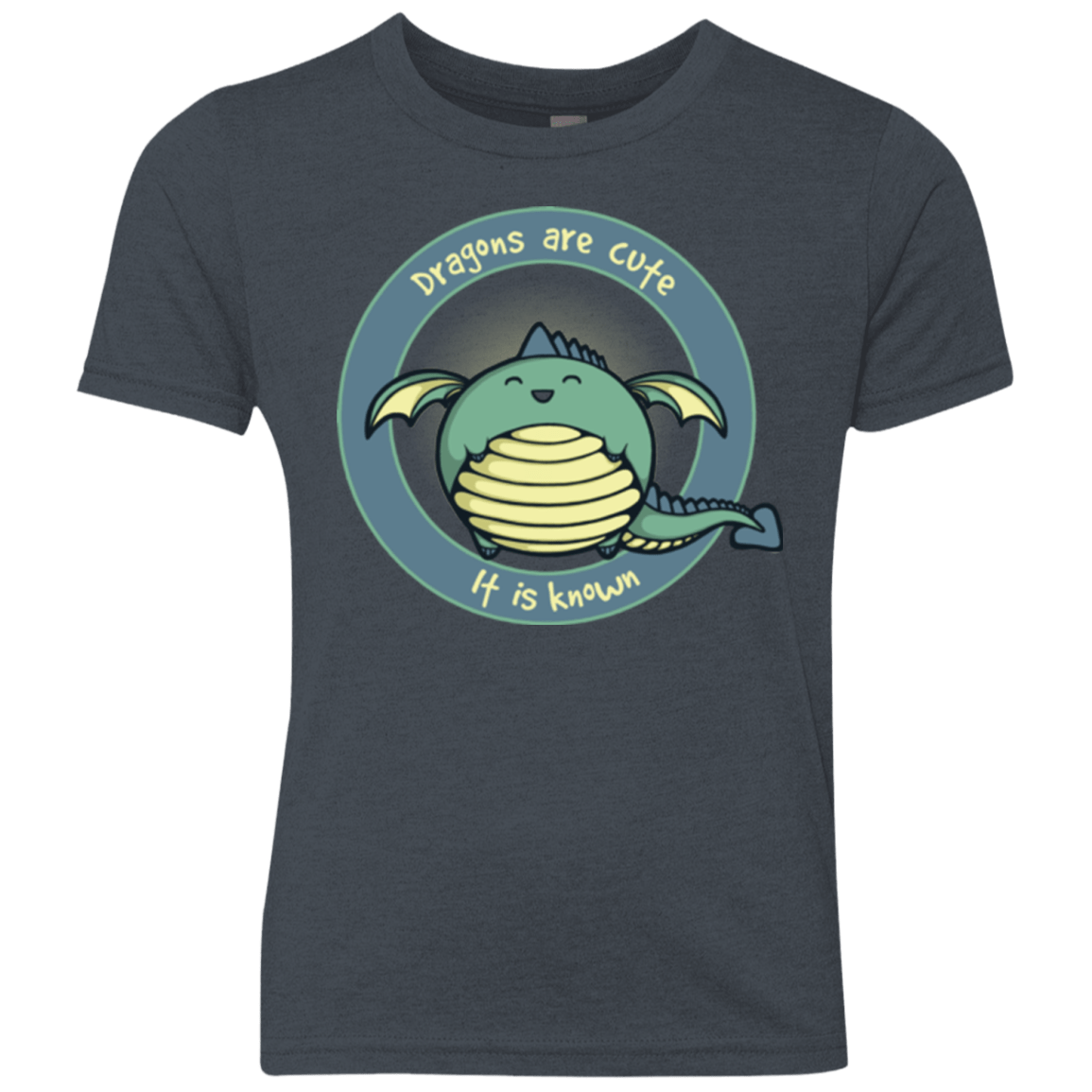 T-Shirts Vintage Navy / YXS Dragons are Cute Youth Triblend T-Shirt
