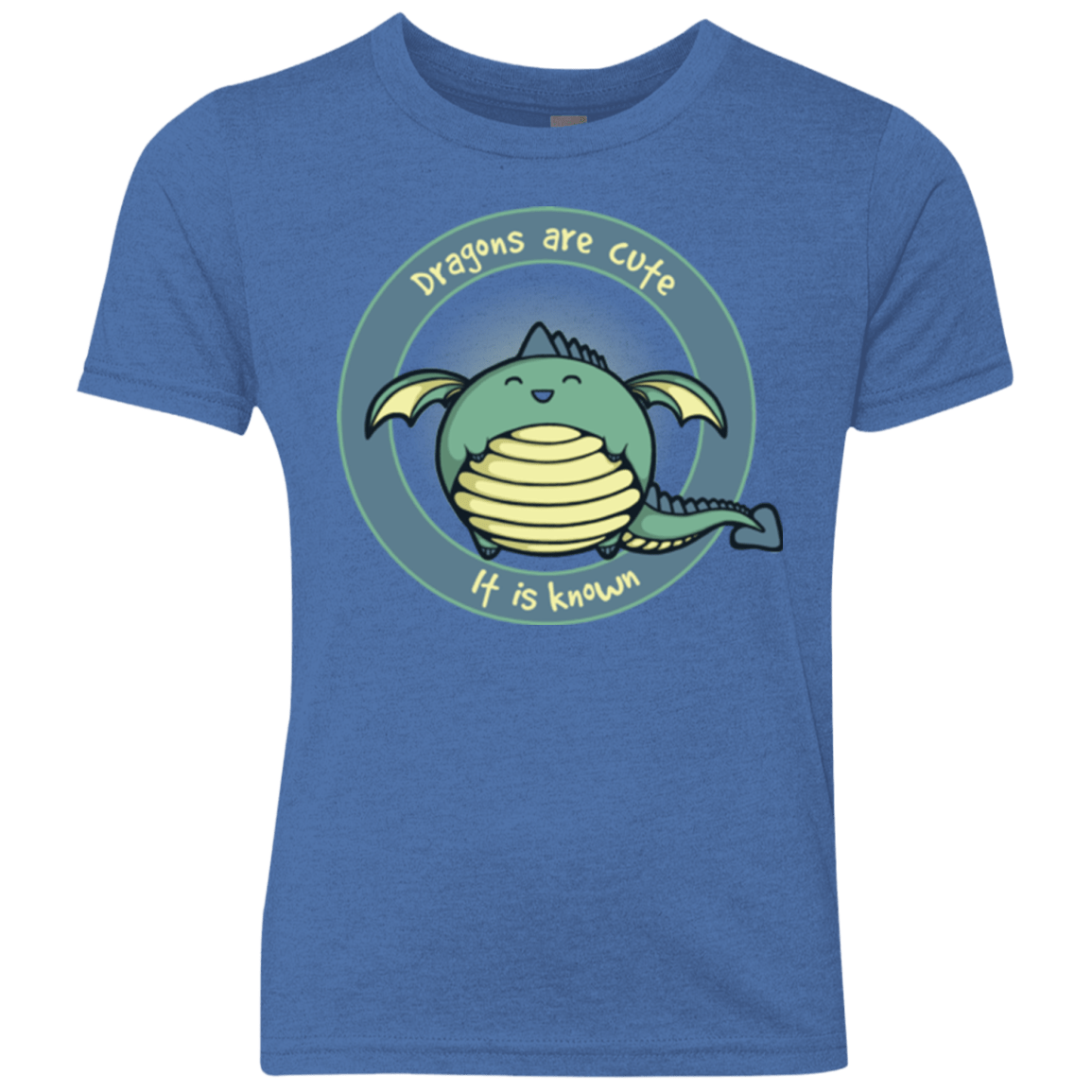 T-Shirts Vintage Royal / YXS Dragons are Cute Youth Triblend T-Shirt