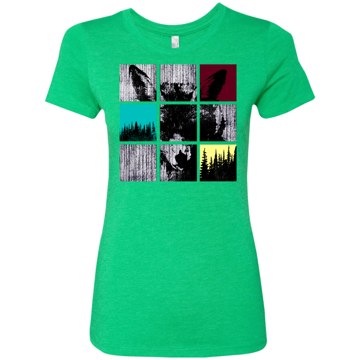 T-Shirts Envy / S Fox Pane Women's Triblend T-Shirt