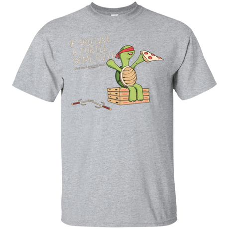 T-Shirts Sport Grey / Small Give a Turtle T-Shirt