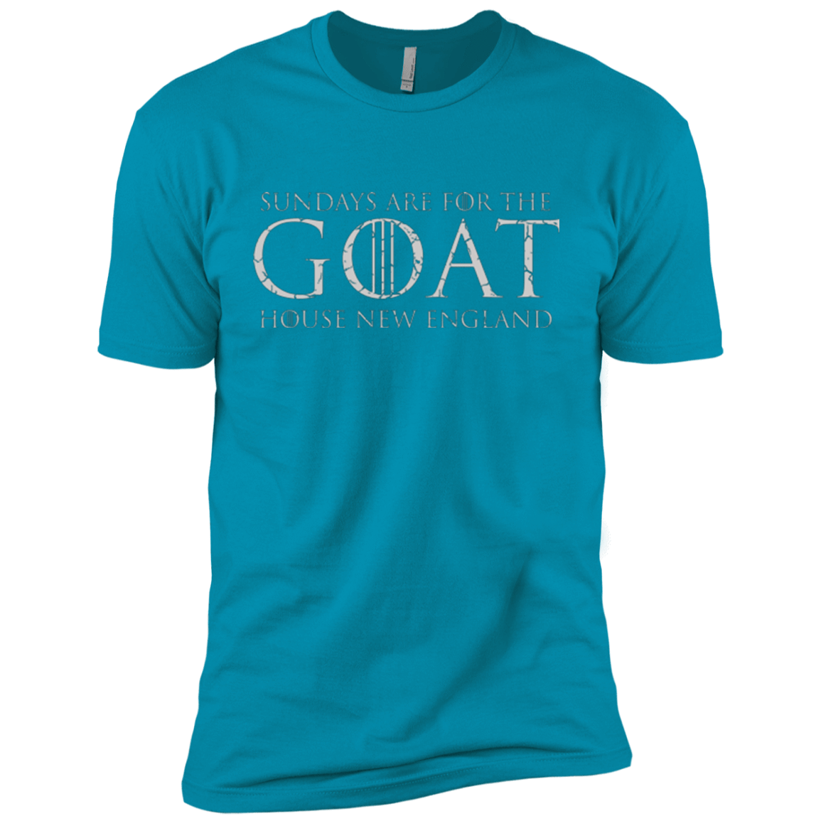 T-Shirts Turquoise / YXS GOAT Boys Premium T-Shirt