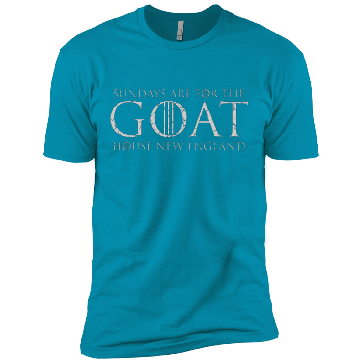 T-Shirts Turquoise / X-Small GOAT Men's Premium T-Shirt