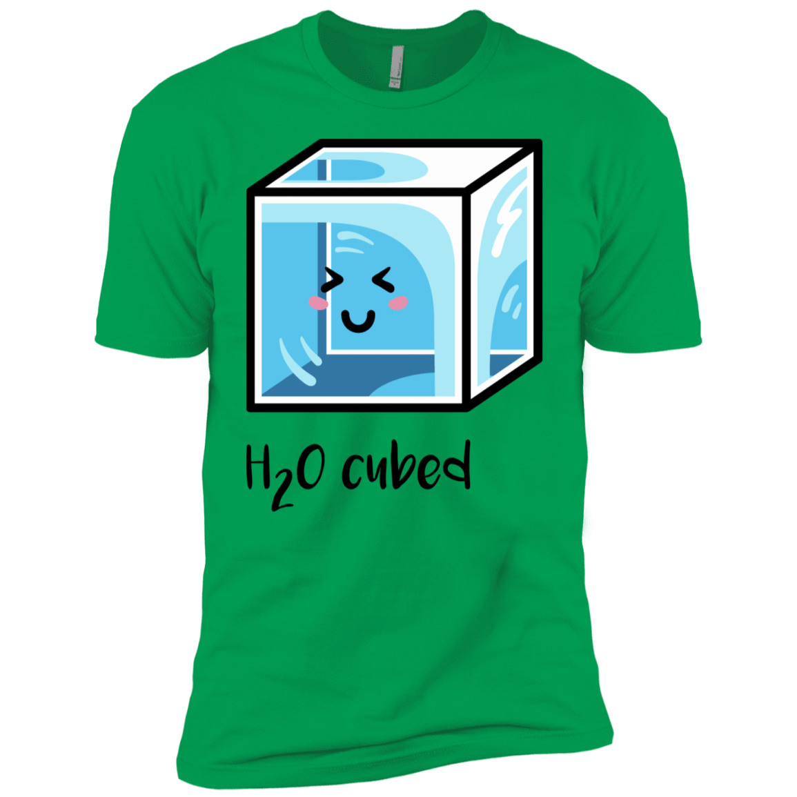 T-Shirts Kelly Green / YXS H2O Cubed Boys Premium T-Shirt