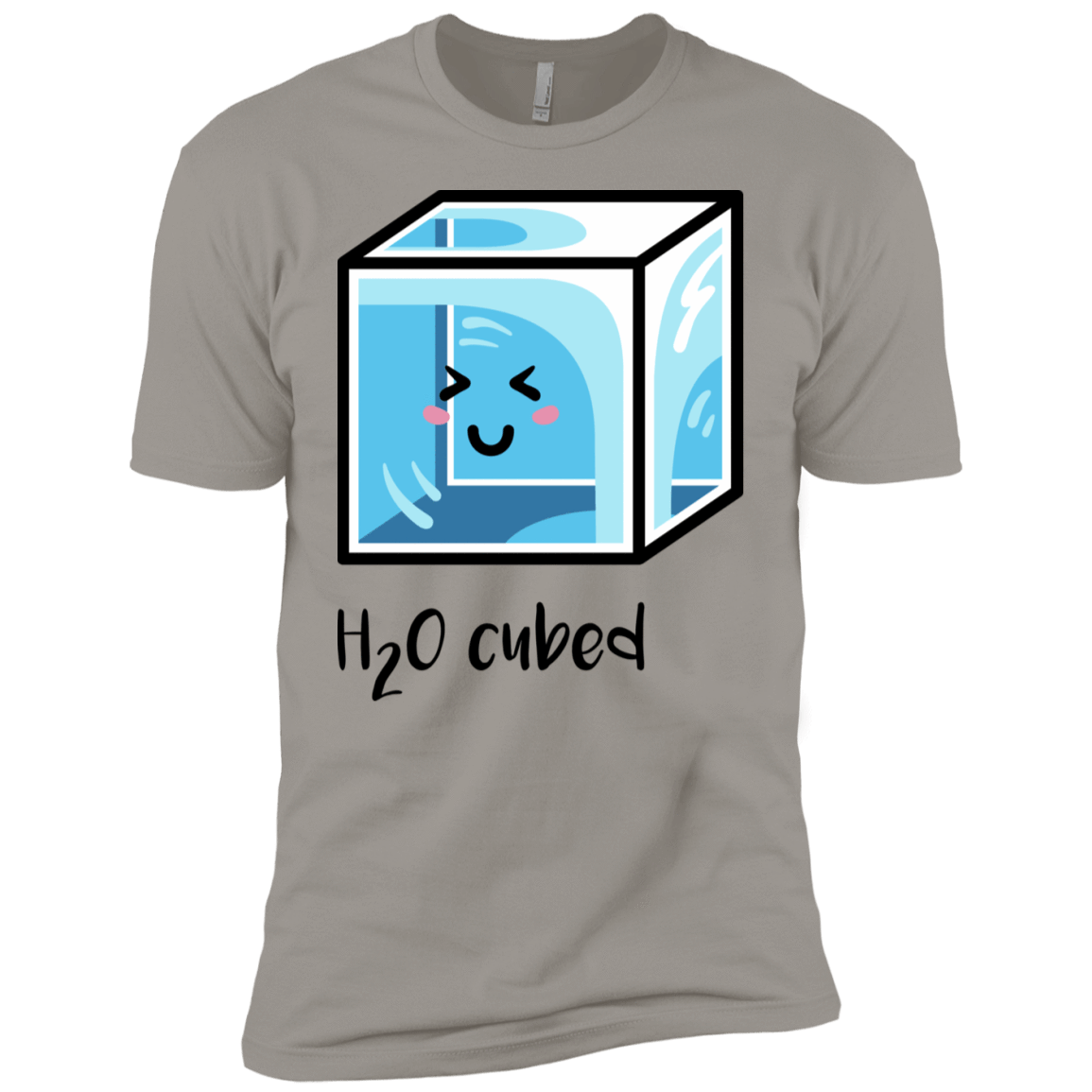 T-Shirts Light Grey / YXS H2O Cubed Boys Premium T-Shirt