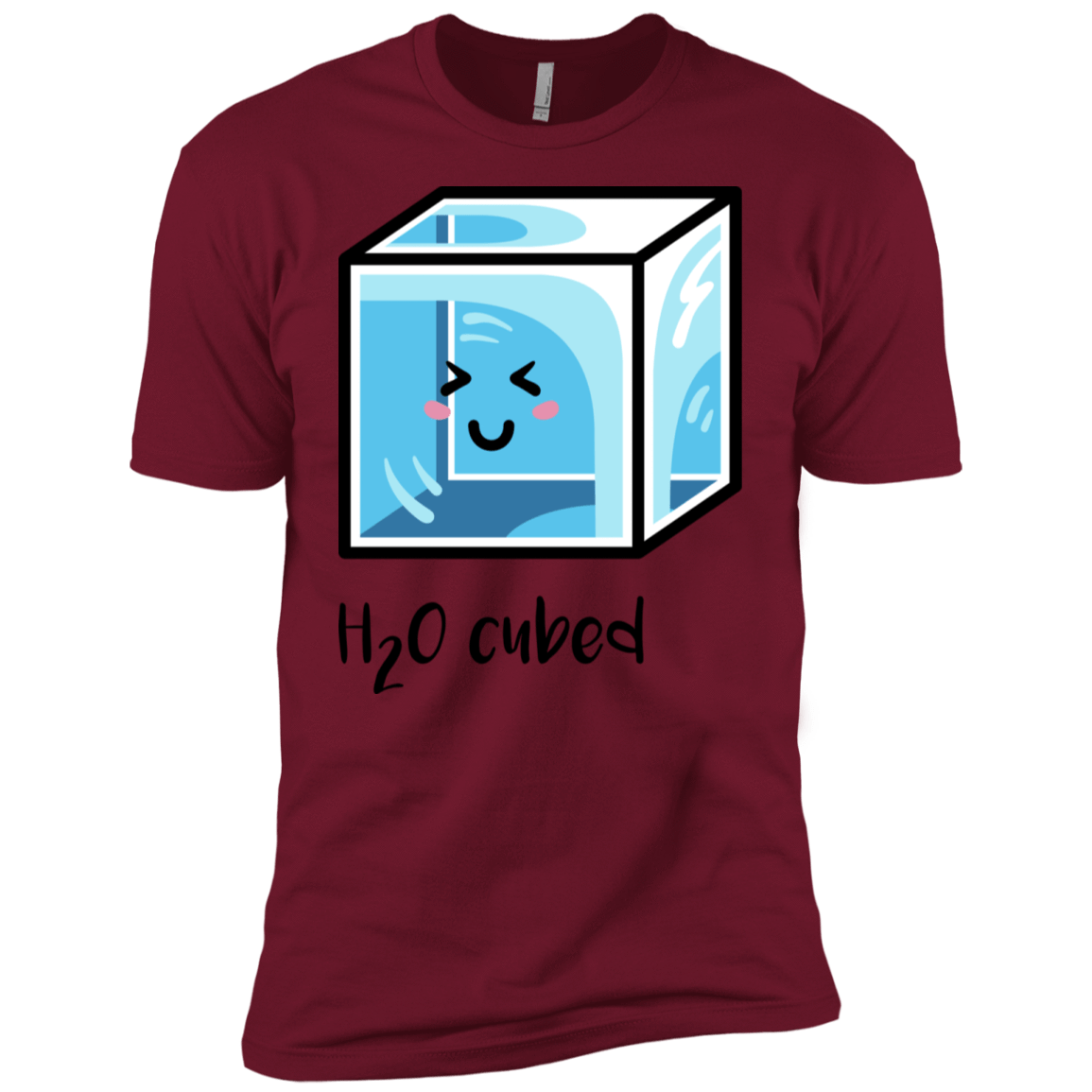 T-Shirts Cardinal / X-Small H2O Cubed Men's Premium T-Shirt