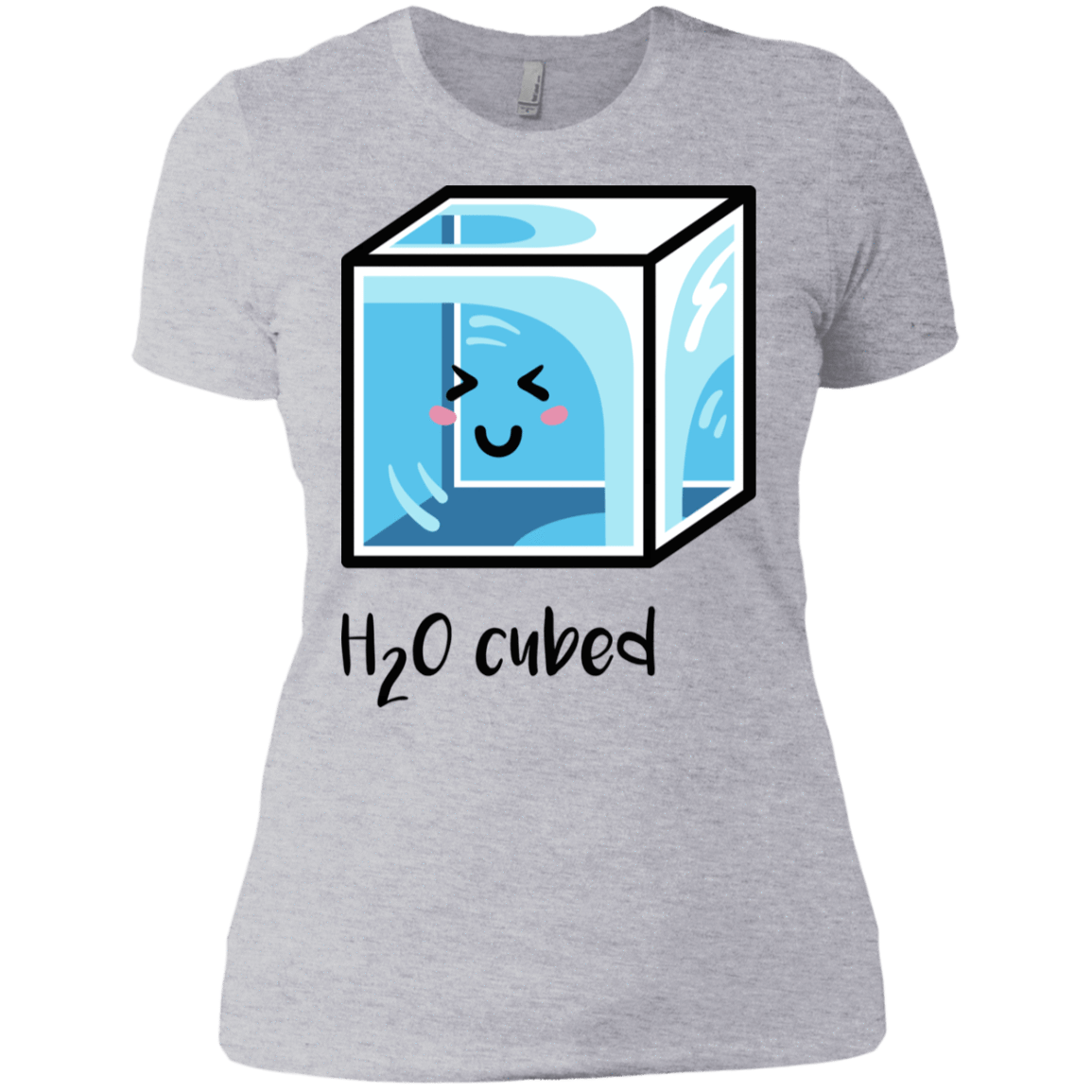 T-Shirts Heather Grey / X-Small H2O Cubed Women's Premium T-Shirt