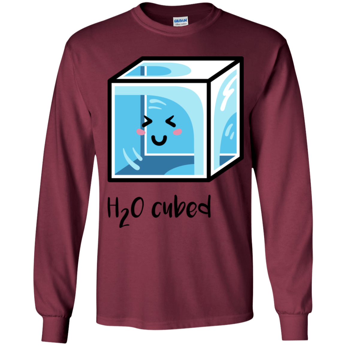 T-Shirts Maroon / YS H2O Cubed Youth Long Sleeve T-Shirt