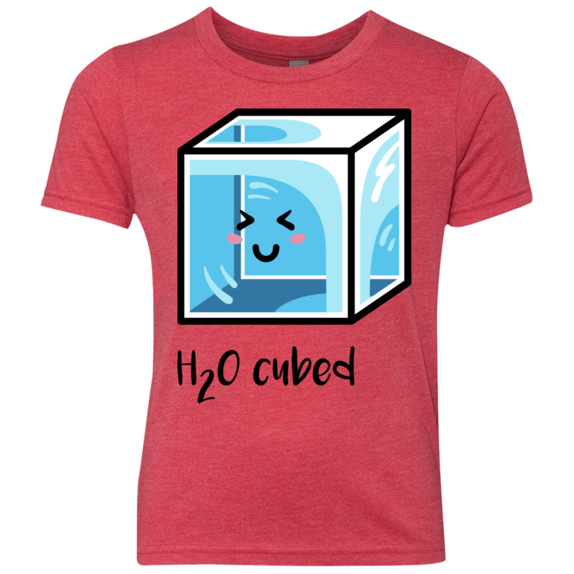 T-Shirts Vintage Red / YXS H2O Cubed Youth Triblend T-Shirt