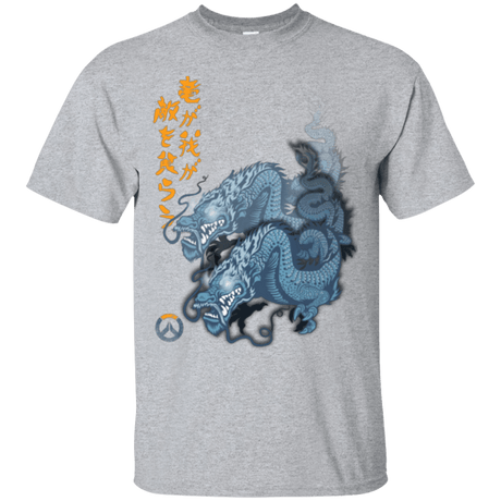 T-Shirts Sport Grey / Small Hanzo T-Shirt