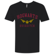 T-Shirts Black / X-Small Hogwarts Quidditch Men's Premium V-Neck