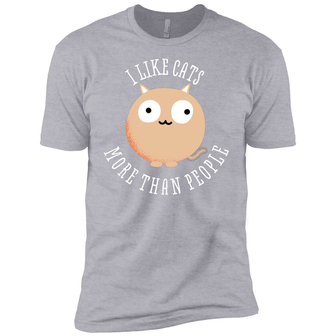 T-Shirts Heather Grey / YXS I Like Cats Boys Premium T-Shirt