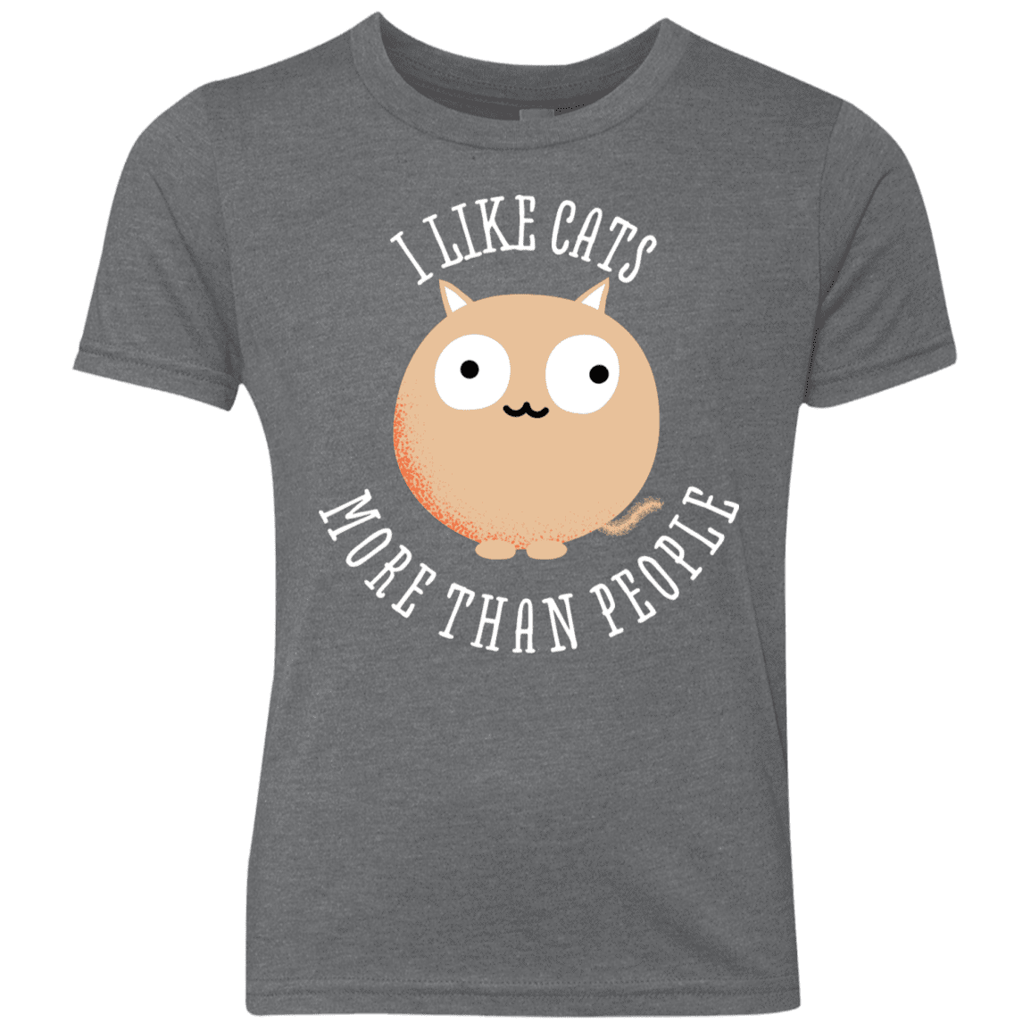 T-Shirts Premium Heather / YXS I Like Cats Youth Triblend T-Shirt