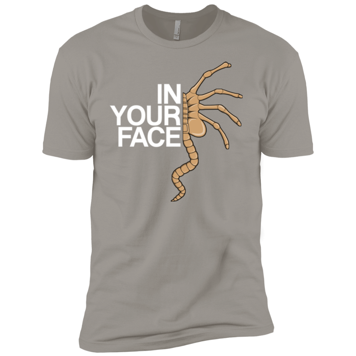 T-Shirts Light Grey / YXS IN YOUR FACE Boys Premium T-Shirt