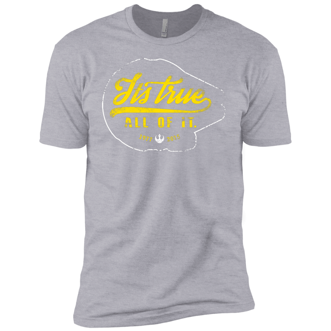 T-Shirts Heather Grey / YXS Its True Boys Premium T-Shirt