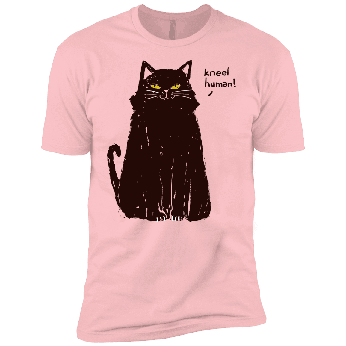 T-Shirts Light Pink / YXS Kneel Human! Boys Premium T-Shirt