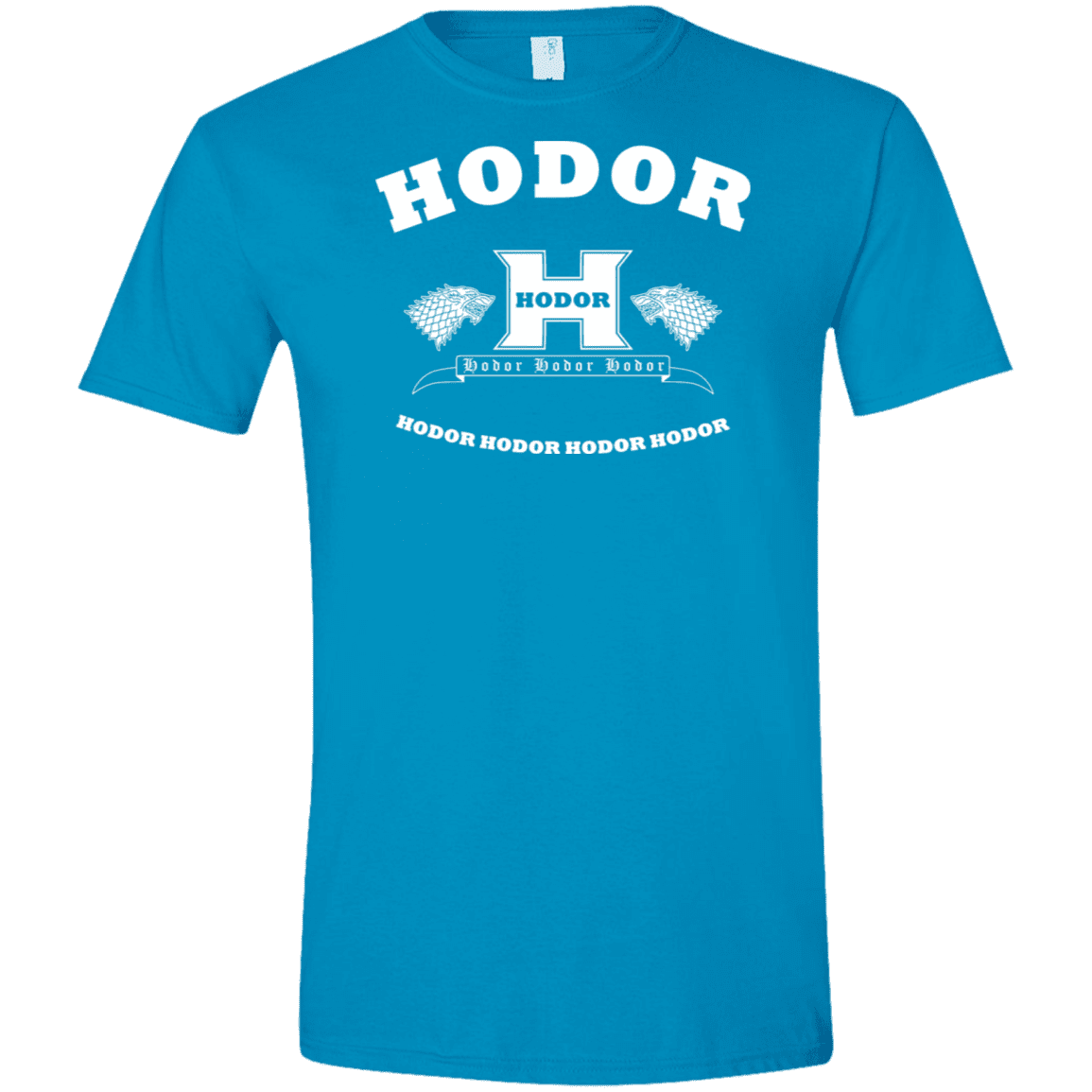 T-Shirts Sapphire / S Language Academy Men's Semi-Fitted Softstyle