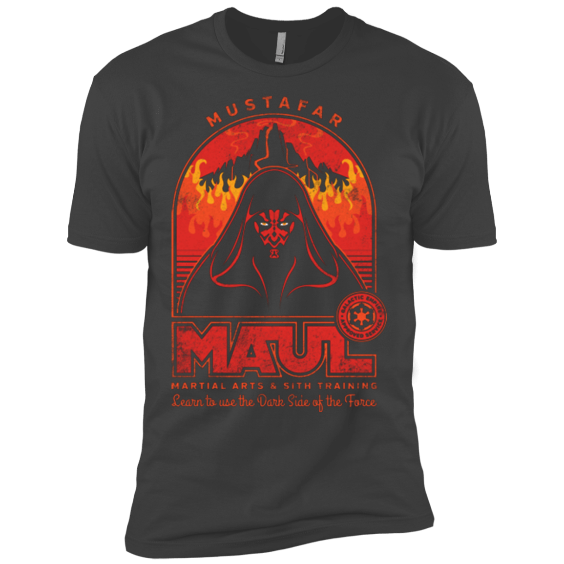 T-Shirts Heavy Metal / X-Small Maul Martial Arts Men's Premium T-Shirt