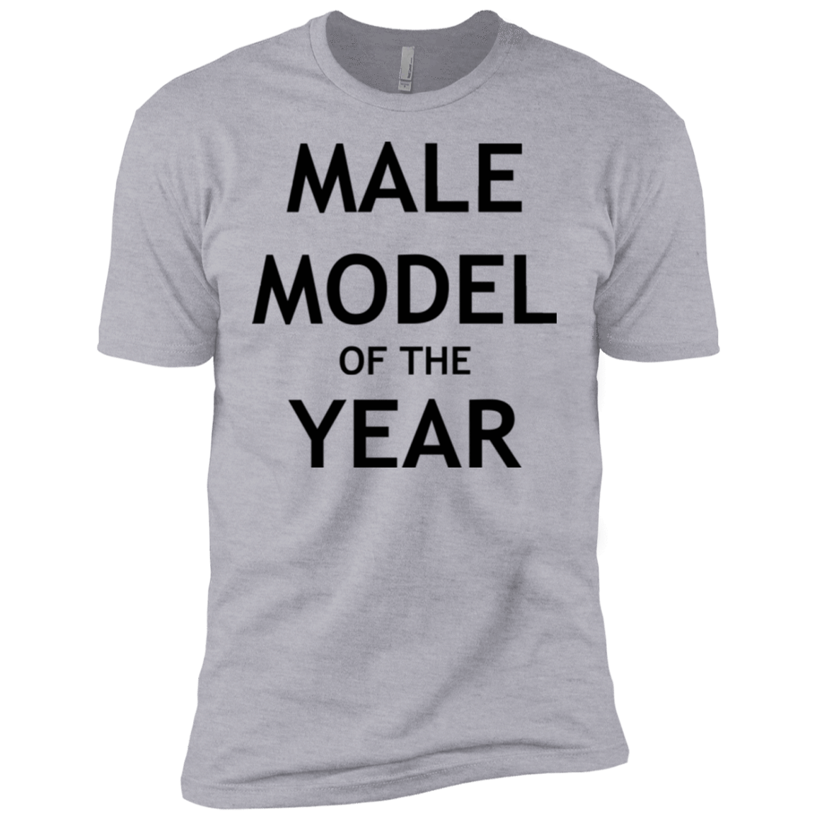 T-Shirts Heather Grey / YXS Model of the Year Boys Premium T-Shirt