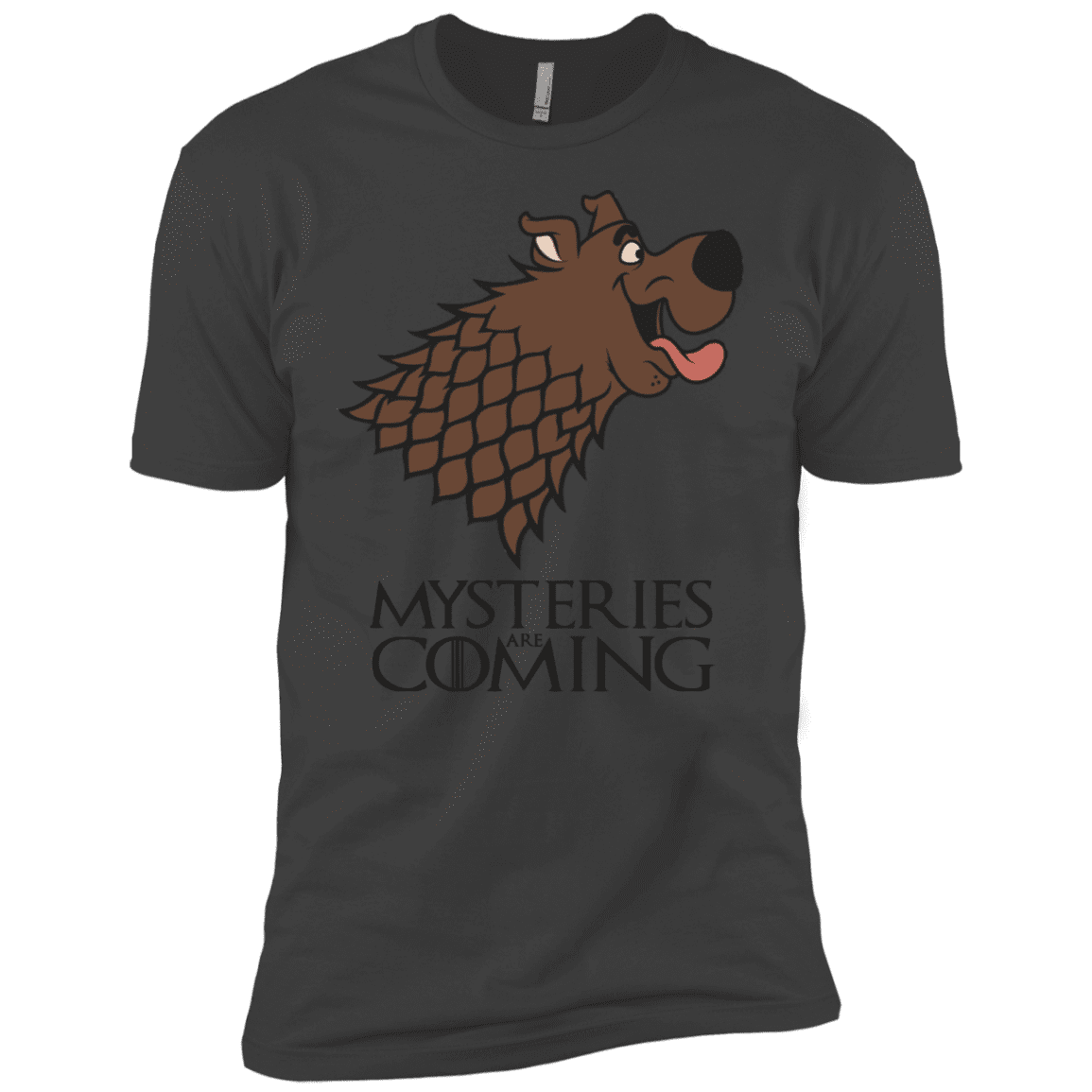 T-Shirts Heavy Metal / YXS Mysteries Are Coming Boys Premium T-Shirt