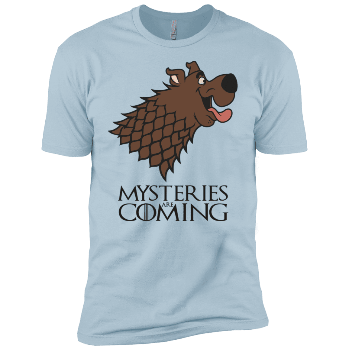 T-Shirts Light Blue / YXS Mysteries Are Coming Boys Premium T-Shirt