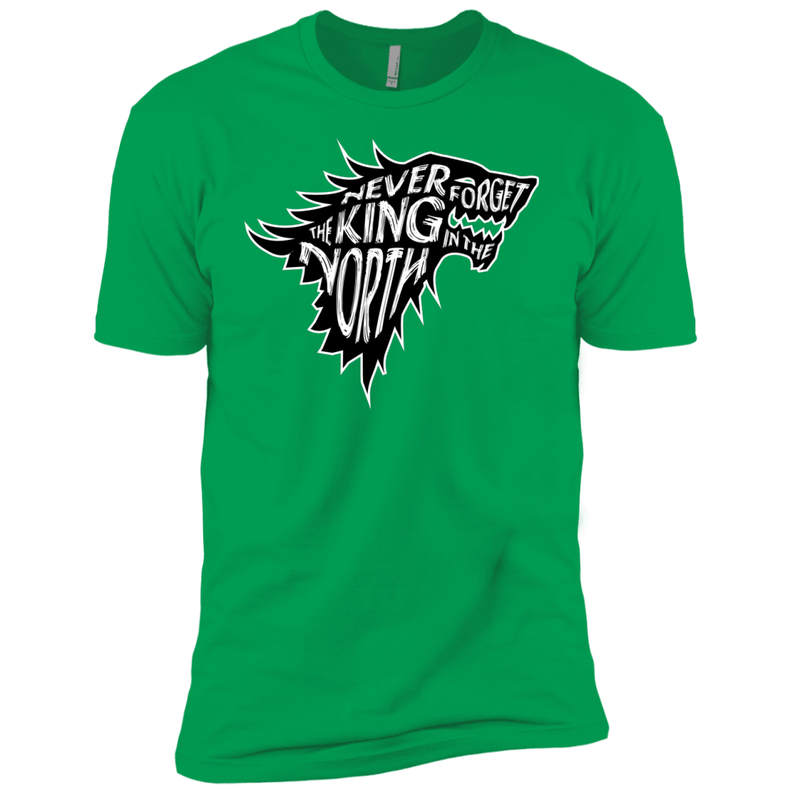 T-Shirts Kelly Green / YXS Never Forget The King In The North Boys Premium T-Shirt
