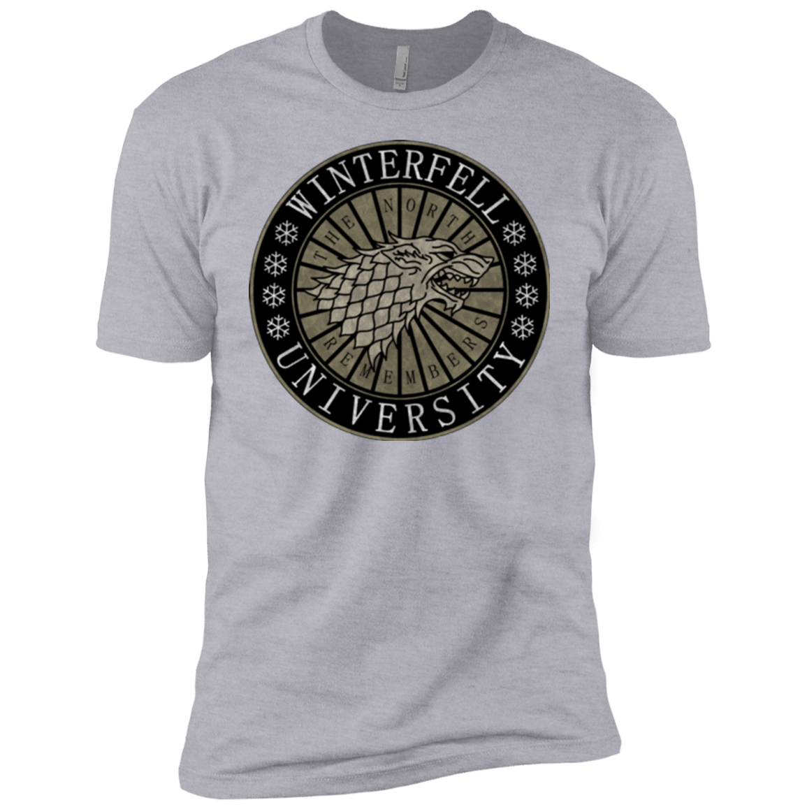 T-Shirts Heather Grey / YXS North university Boys Premium T-Shirt