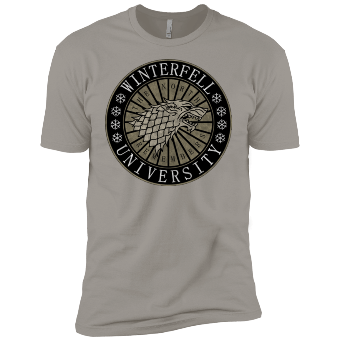 T-Shirts Light Grey / YXS North university Boys Premium T-Shirt